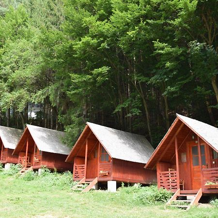 Cabanute Si Camping Dracula Capatineni-Paminteni 外观 照片