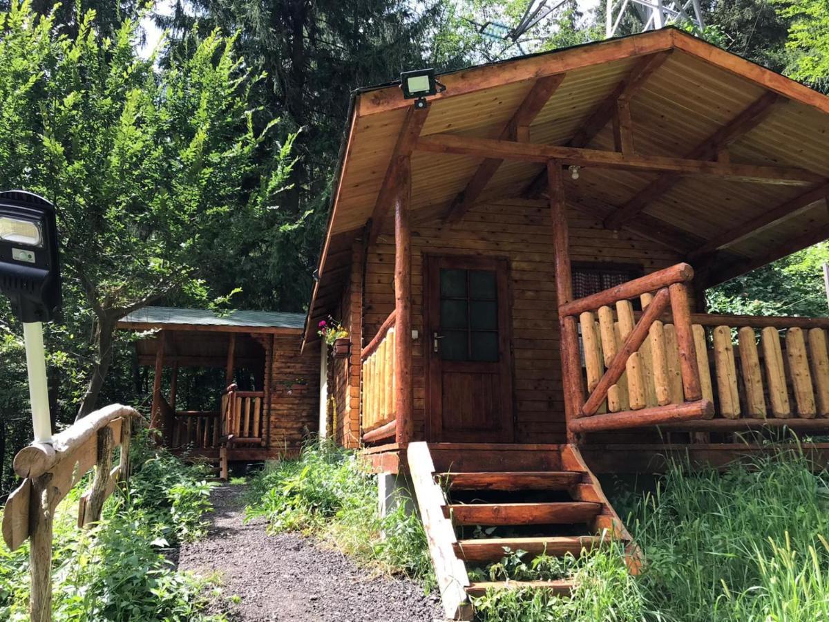 Cabanute Si Camping Dracula Capatineni-Paminteni 外观 照片