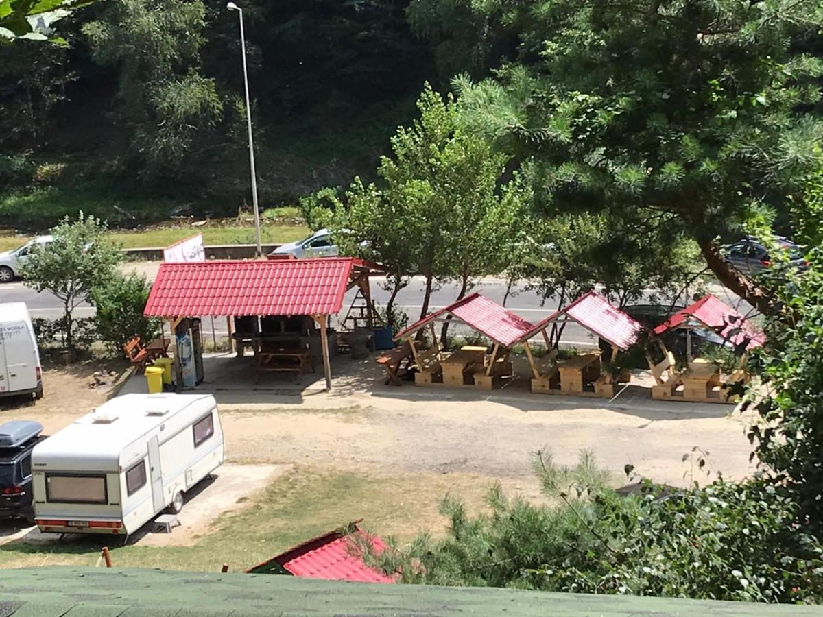 Cabanute Si Camping Dracula Capatineni-Paminteni 外观 照片