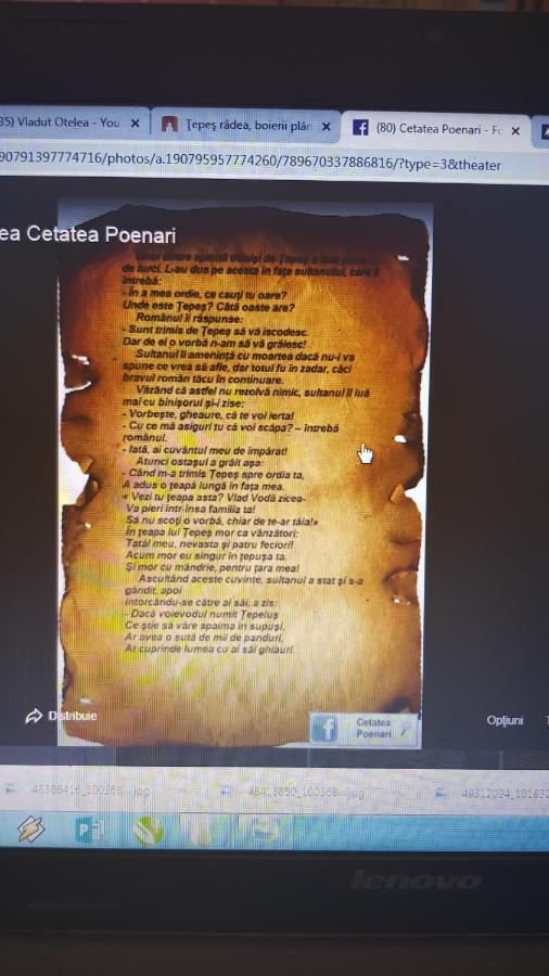 Cabanute Si Camping Dracula Capatineni-Paminteni 外观 照片
