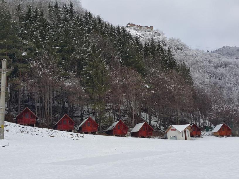 Cabanute Si Camping Dracula Capatineni-Paminteni 外观 照片
