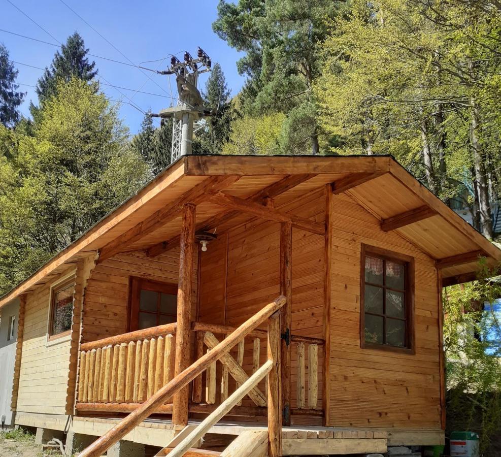 Cabanute Si Camping Dracula Capatineni-Paminteni 外观 照片