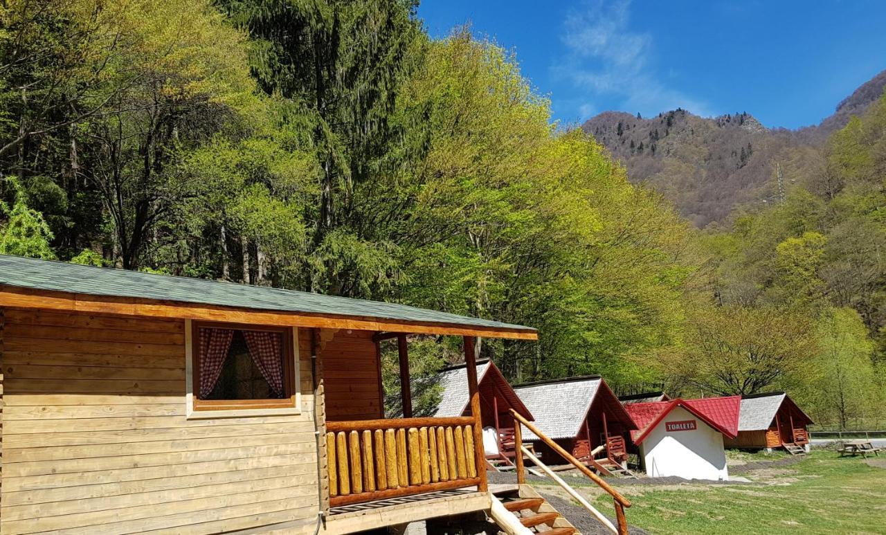 Cabanute Si Camping Dracula Capatineni-Paminteni 外观 照片
